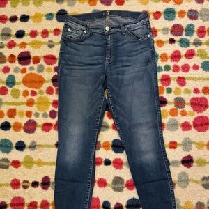 7 for all mankind ankle skinny